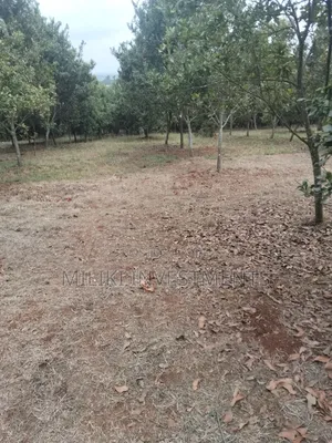5 Acres Land on Sale at Maragua -Summary Area