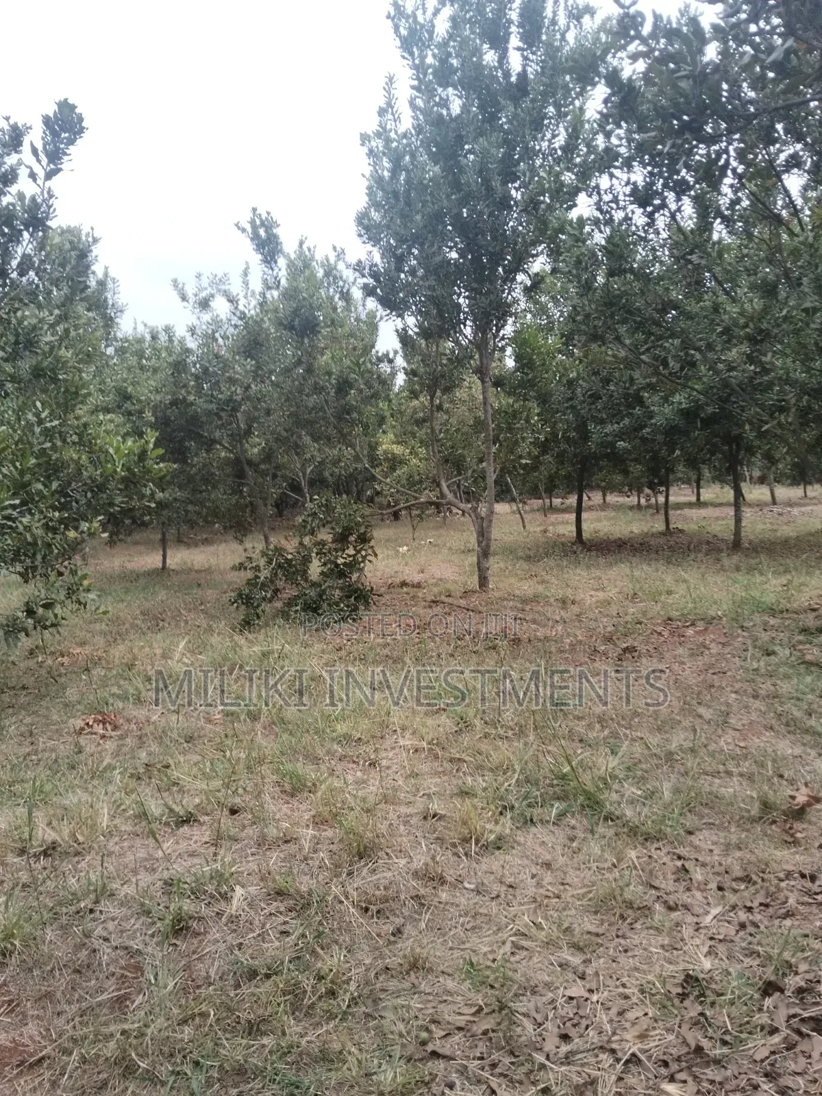 5 Acres Land on Sale at Maragua -Summary Area