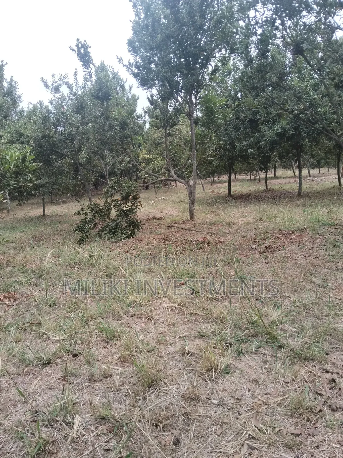 5 Acres Land on Sale at Maragua -Summary Area