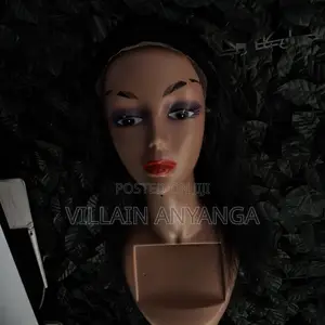 Human Hair Wig