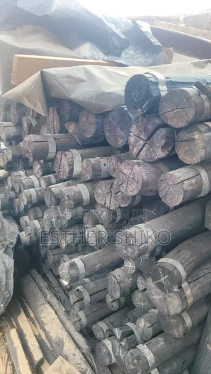 Fencing Post