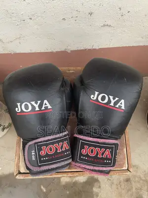 JOYA 14oz Kickboxing/Boxing Gloves
