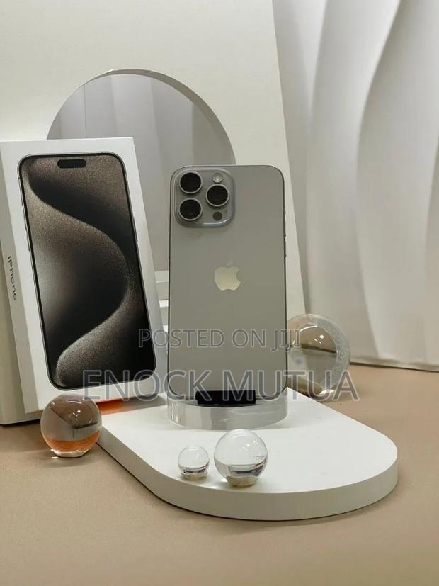 Apple iPhone 15 Pro Max 256 GB Gray