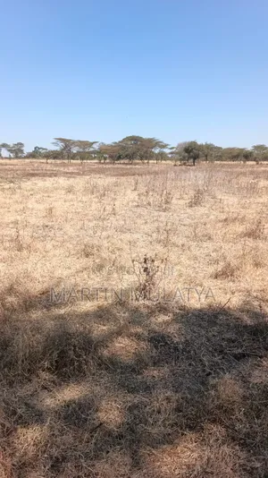 Land for Sell
