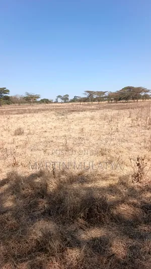 Land for Sell