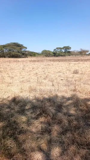Land for Sell
