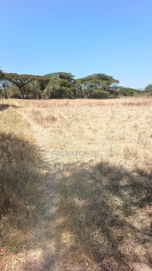 Land for Sell