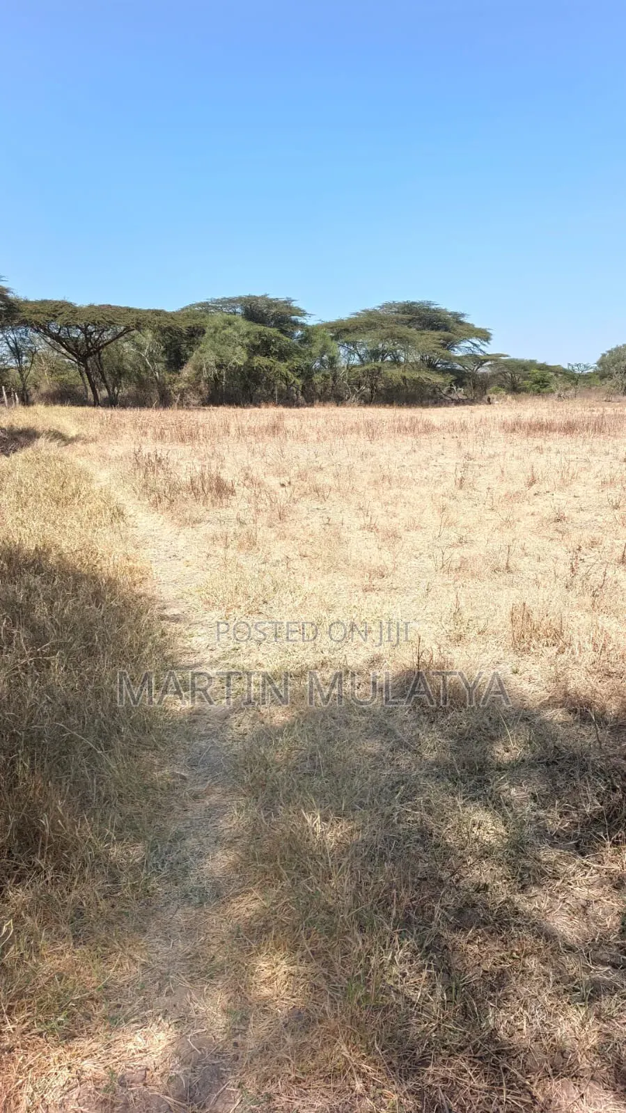 Land for Sell