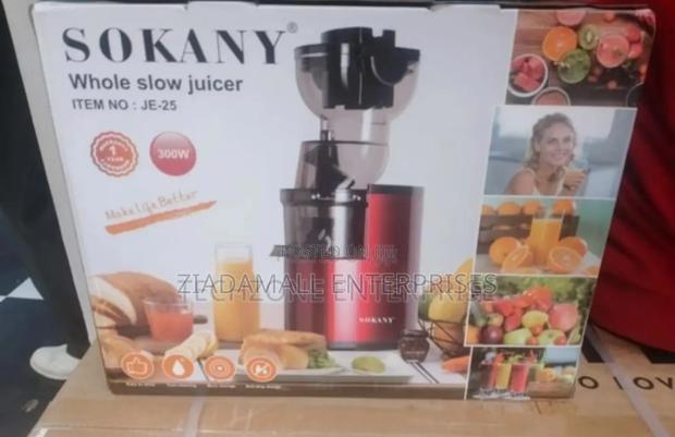 Pay on Delivery - Sokany High Performance Commercial Slow Juicer