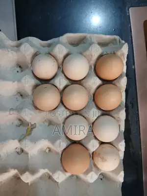Improved Kienyeji Eggs