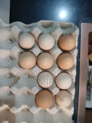 Improved Kienyeji Eggs