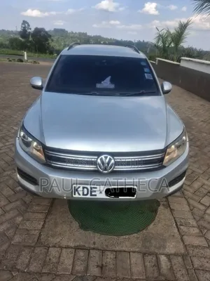 Volkswagen Tiguan 2014 Silver
