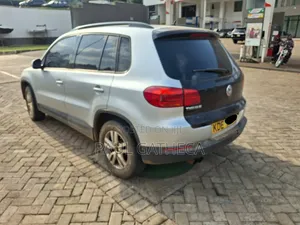 Volkswagen Tiguan 2014 Silver