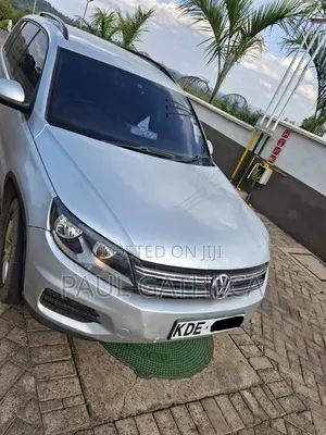 Volkswagen Tiguan 2014 Silver