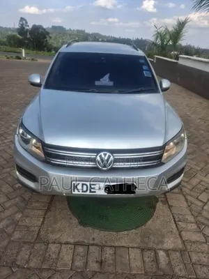 Volkswagen Tiguan 2014 Silver