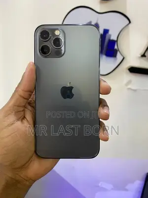 Apple iPhone 12 Pro 256 GB Gray