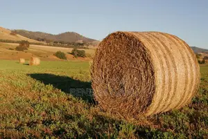 We Are Selling Animal Feedsd