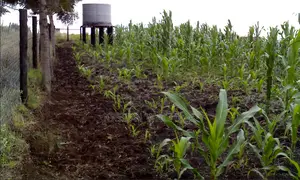 Prime Agri-Business Farmland for Sale in Watuka, Nyeri County