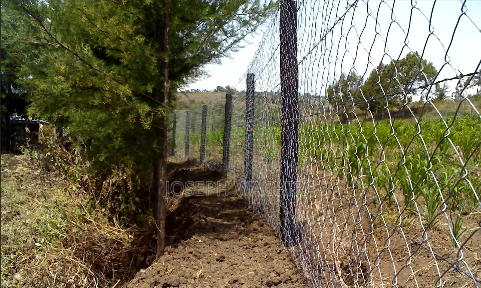 Prime Agri-Business Farmland for Sale in Watuka, Nyeri County