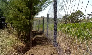 Prime Agri-Business Farmland for Sale in Watuka, Nyeri County