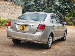 Toyota Axio 1.5 G 2WD 2013 Gray