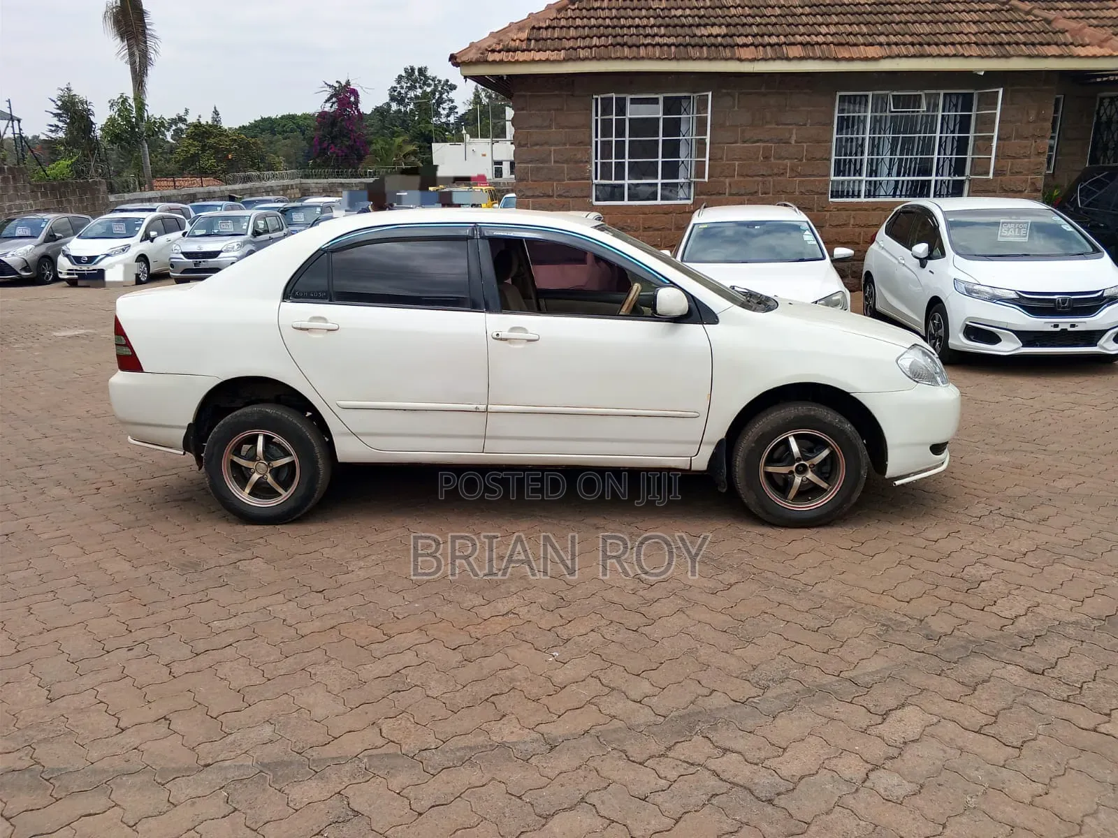 Toyota Corolla 2002 White