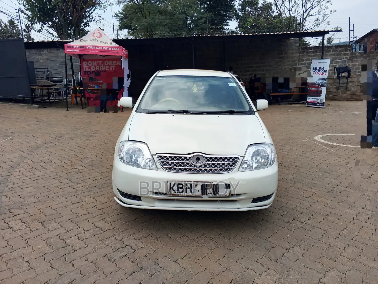 Toyota Corolla 2002 White
