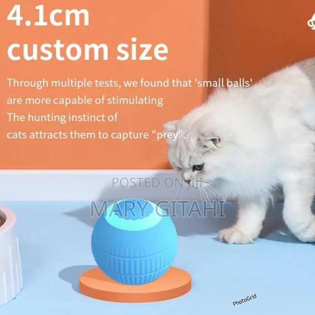 Smart Cat USB Toy Rolling Ball