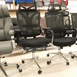 Orthopedic Chair, Back Ergonomic Chair