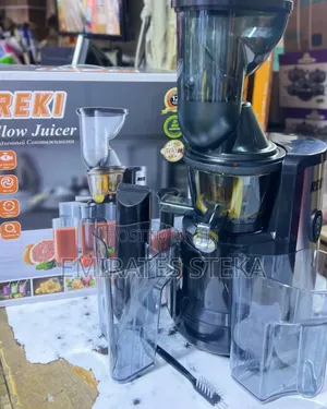 REKI Electric Slow Juicer