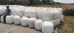 Molasses Bags