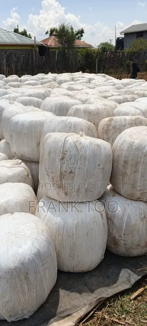 Molasses Bags