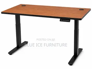 Electric Desk – Modern Adjustable Office Study Desk