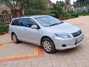 Toyota Corolla Fielder 2009 Gray