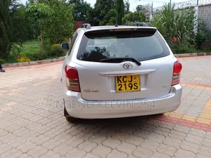 Toyota Corolla Fielder 2009 Gray