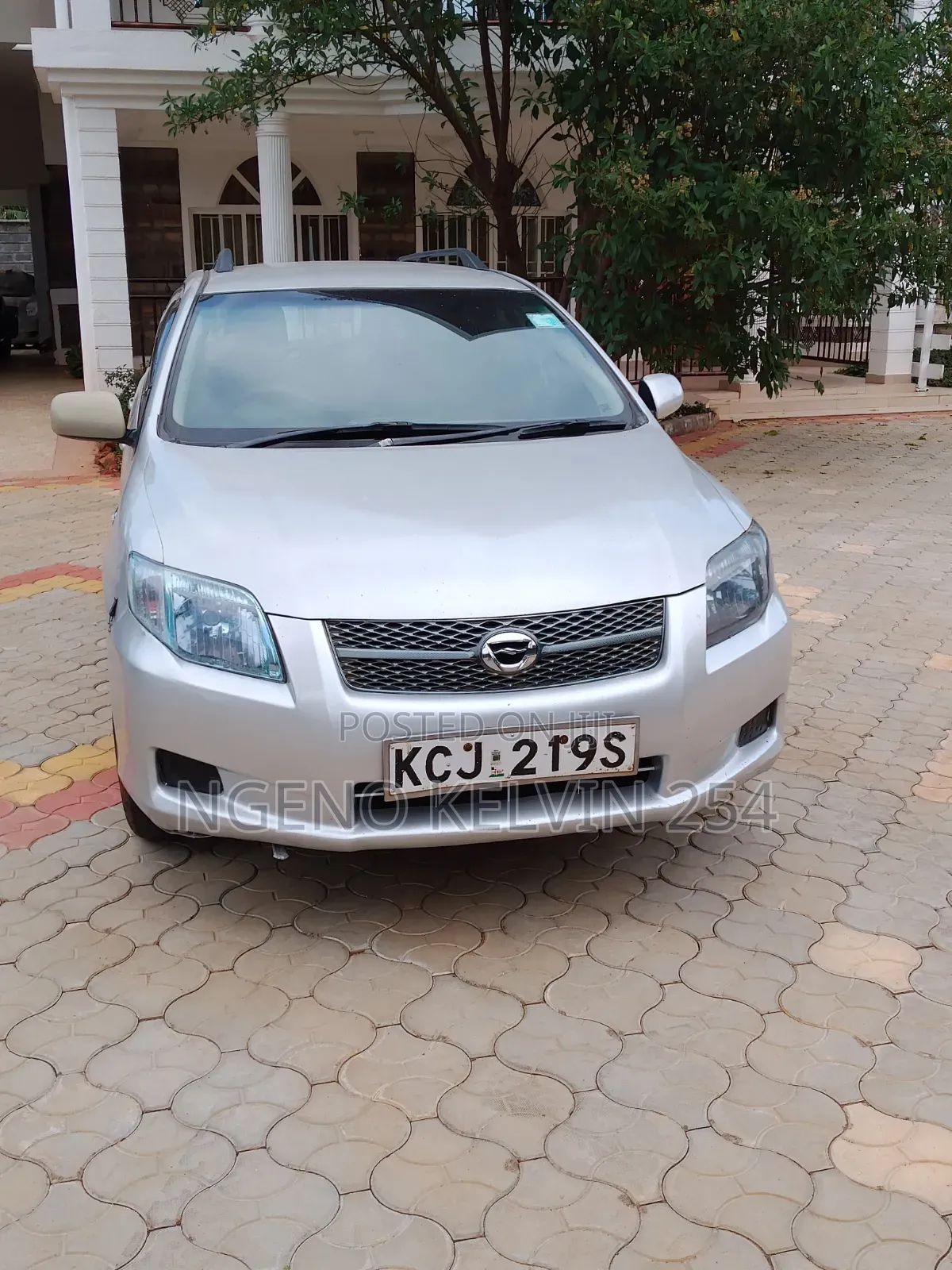 Toyota Corolla Fielder 2009 Gray