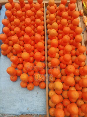 Pixies and Oranges