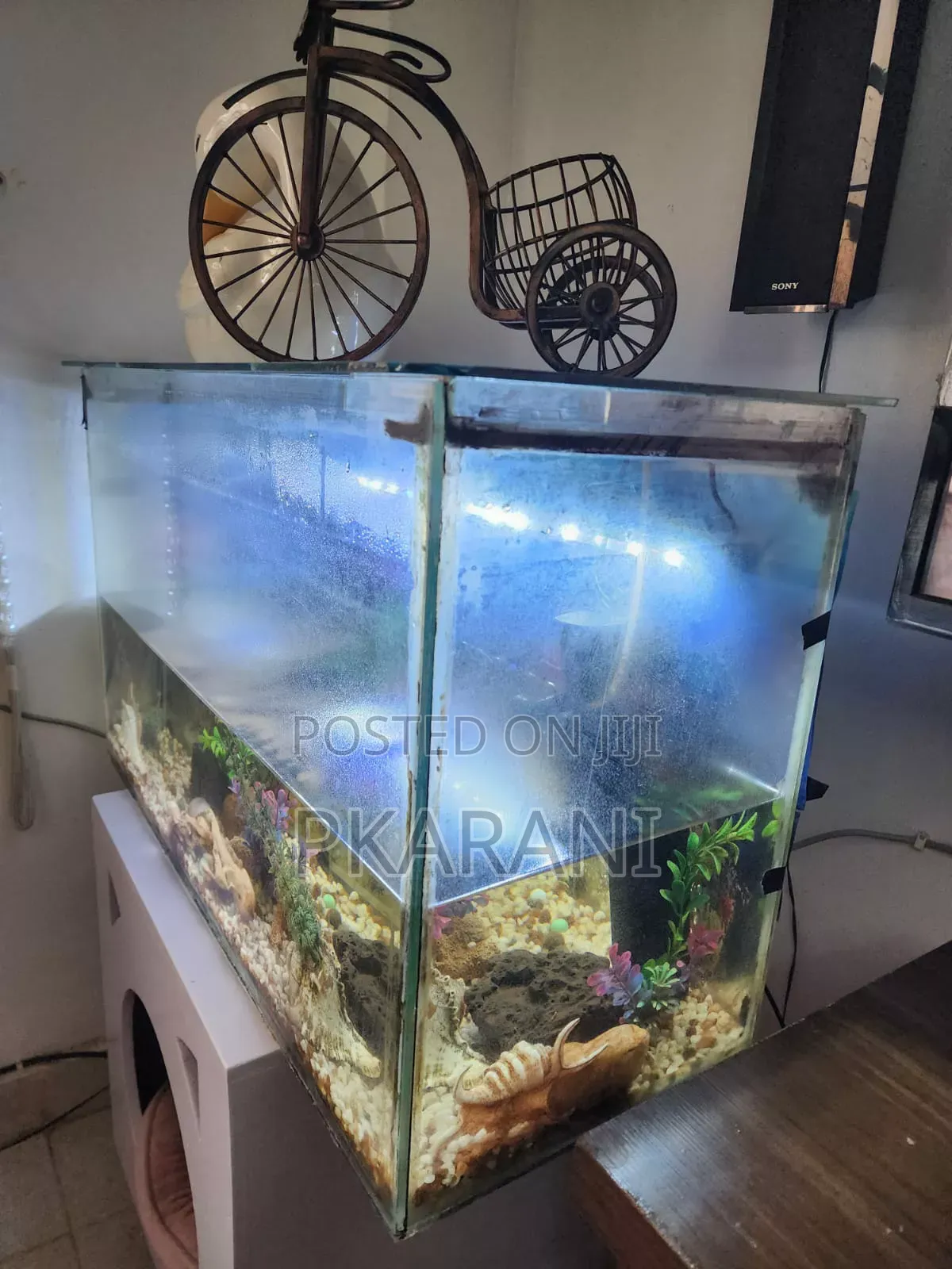Aquarium Big Size