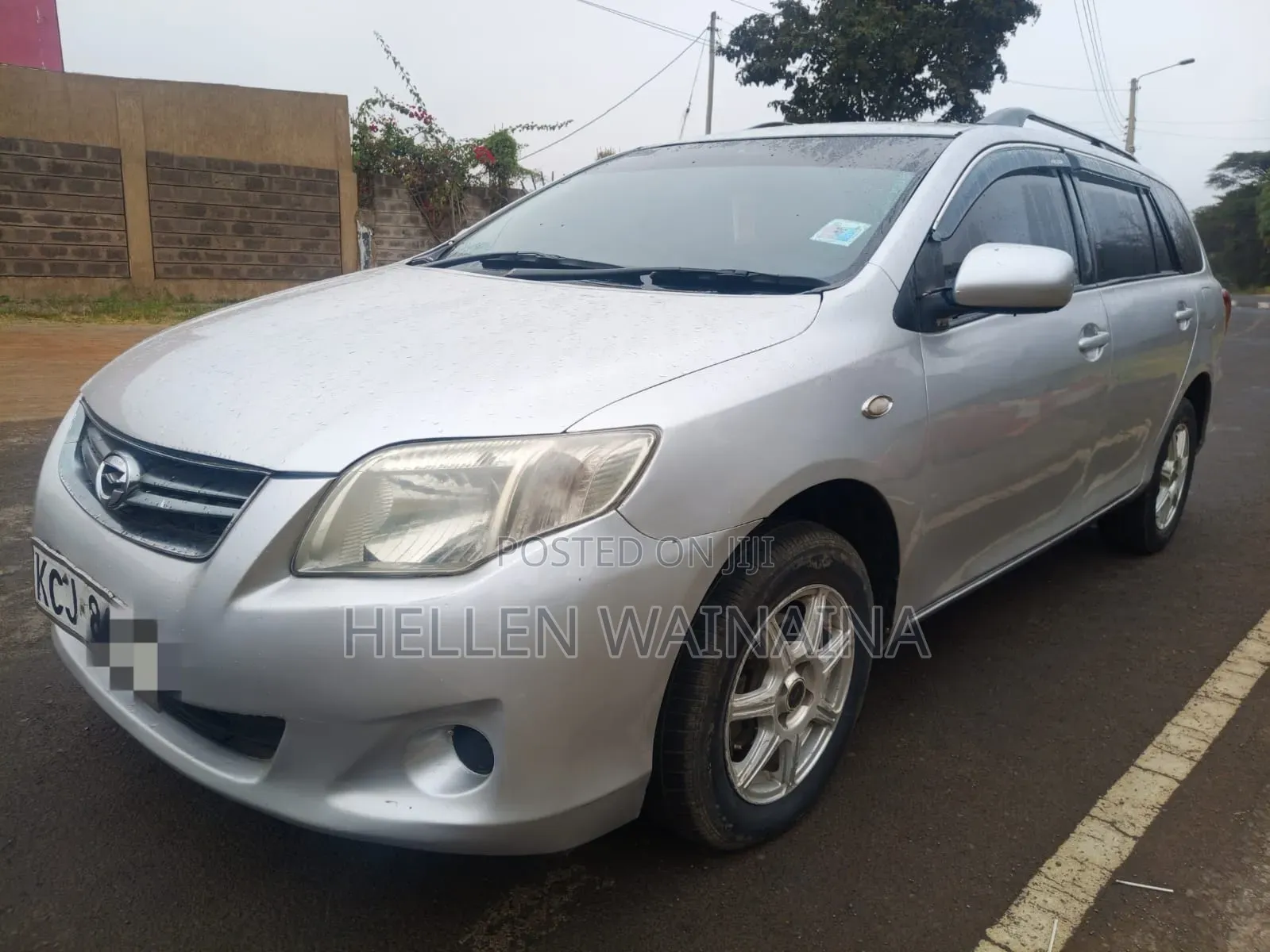 Toyota Corolla Fielder 2010 Silver
