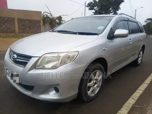 Toyota Corolla Fielder 2010 Silver