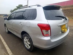 Toyota Corolla Fielder 2010 Silver