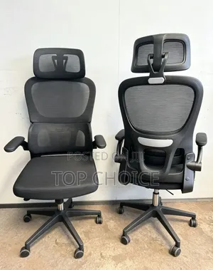 Ergonomic Executive Office Chairs