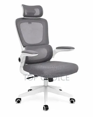 Ergonomic Executive Office Chairs