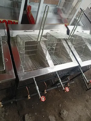 Stainless Steel Double Gas Fryer.