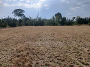 2 Acreas Nanyuki Nyeri Higway