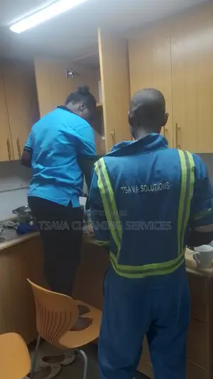 Domestic Cleaning Services