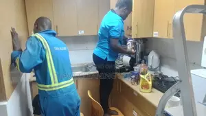 Domestic Cleaning Services