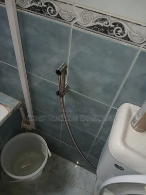 Plumber/Blockages and Leakages