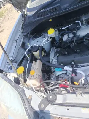 Nissan X-Trail 2004 Gray