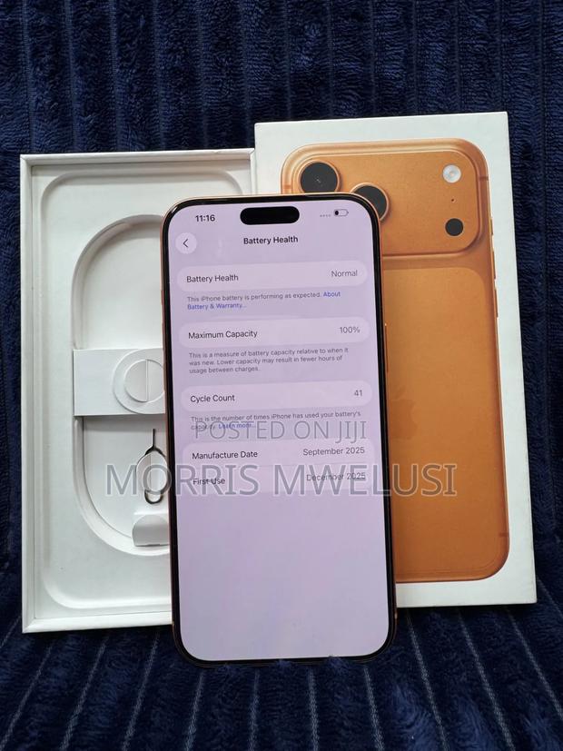 Apple iPhone 17 Pro Max 512 GB Orange - thumbnail 4